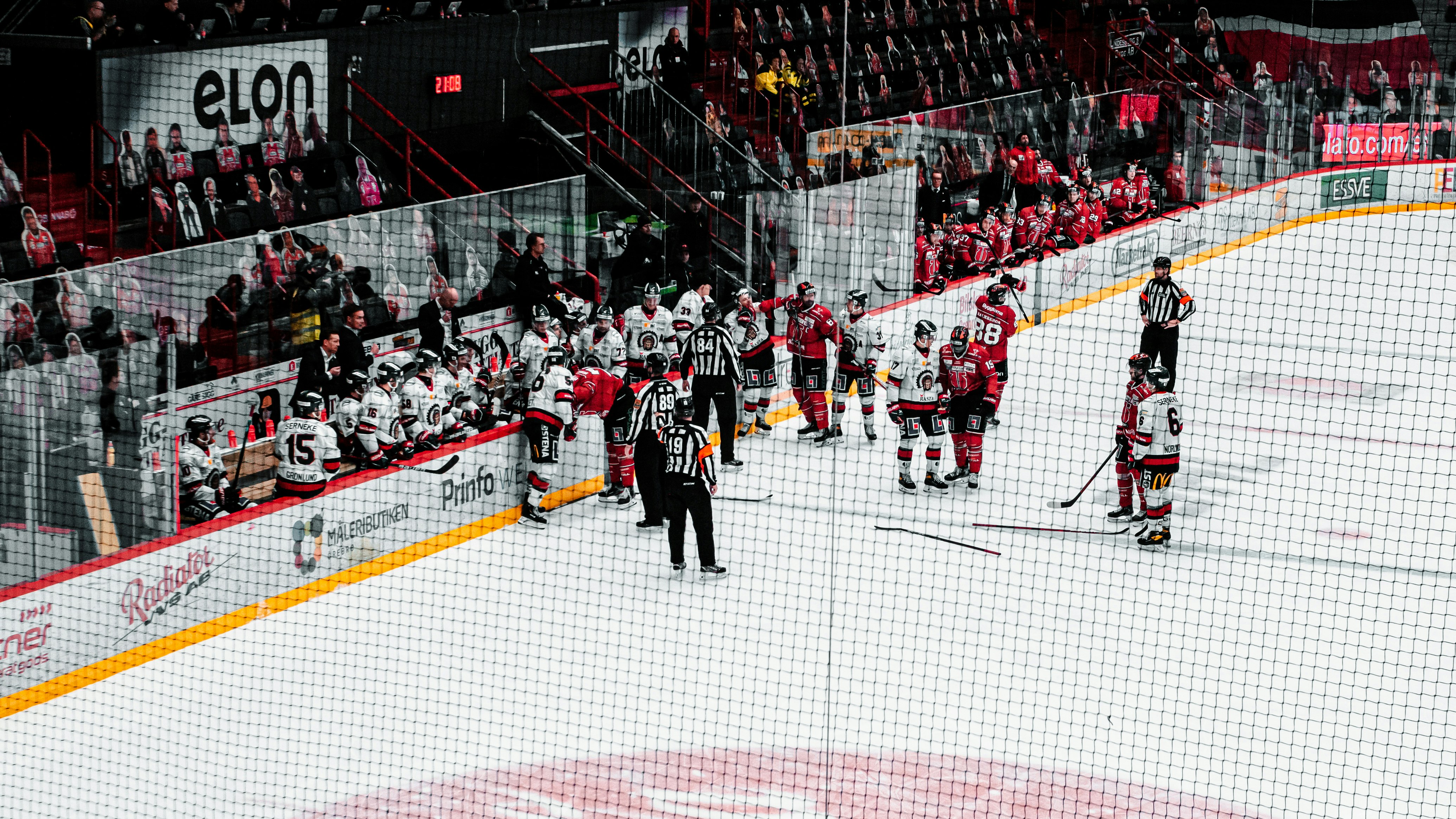 people in ice hockey stadium